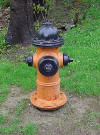 This is a Mueller fire hydrant Model Super Centurion 250. You may click on the photo for a larger size.