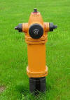 The hydrant pictured here is a Waterous Pacer WB-67-250. You may clcik on the photo to view a larger size.